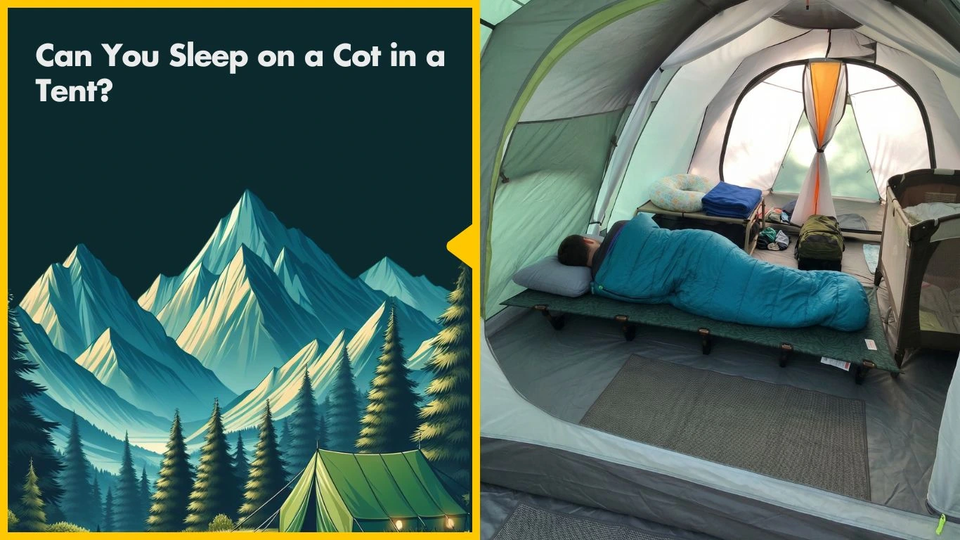 Home Sleep on a Cot in a Tent